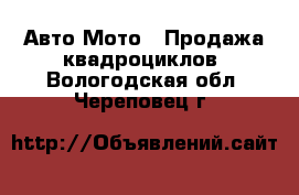 Авто Мото - Продажа квадроциклов. Вологодская обл.,Череповец г.